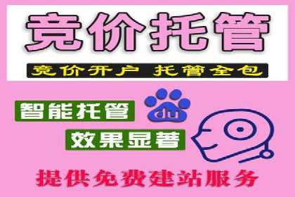 Sem优化公司案例：助力企业实现品牌曝光